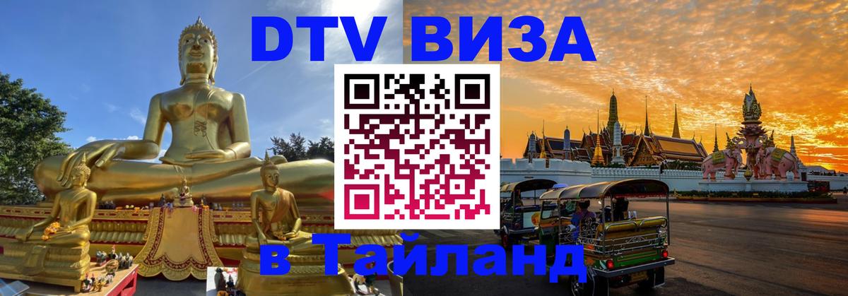 Сколько стоит DTV виза — актуальные цены, оформление даже без документов - 08.01.2026 